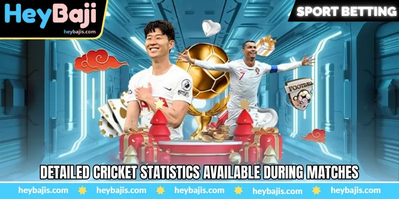 Cricket Betting - A Comprehensive Guide To Cricket Wagering - Heybaji 4 Detailed cricket statistics available during matches