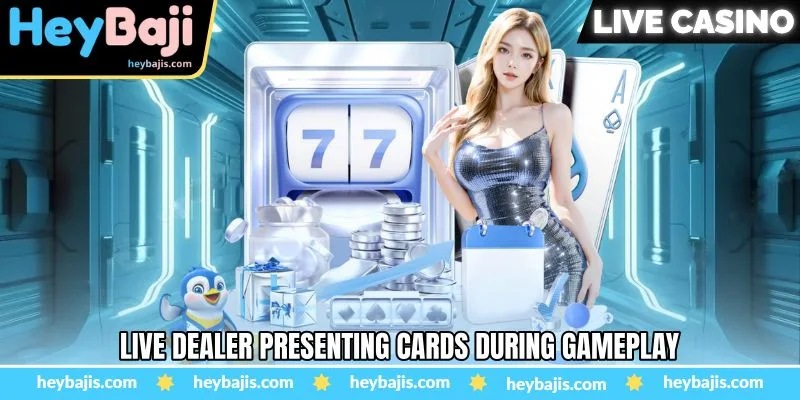 DragonTiger Live - A Fast And Straightforward Live - Heybaji 3 Live dealer presenting cards during gameplay
